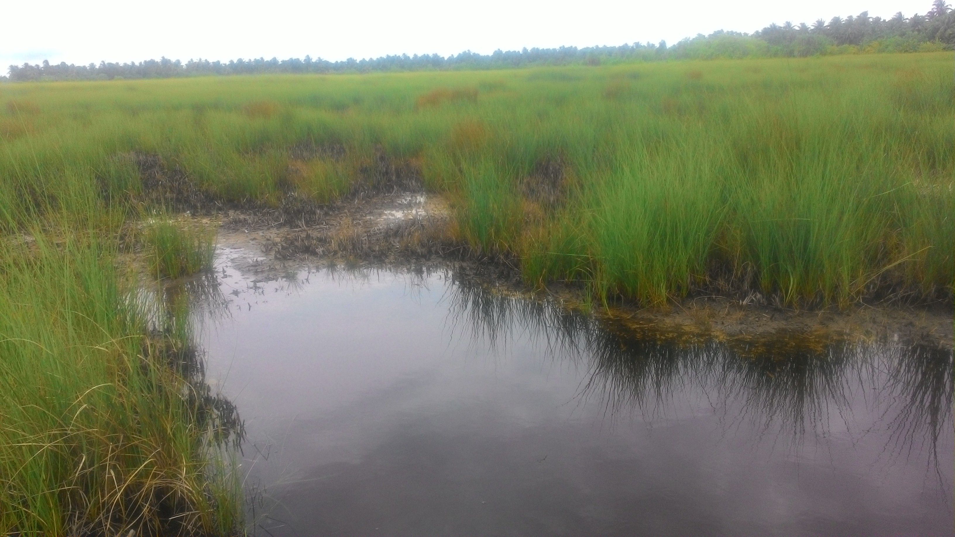 Mathikilhi Eco Garden pond