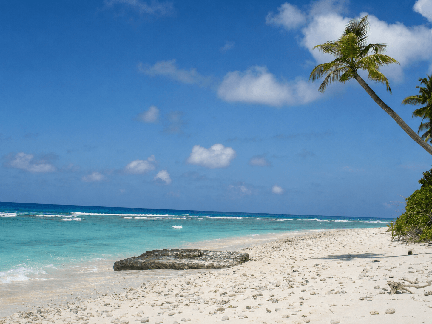 Extensive Beaches