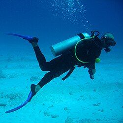 Scuba Diving